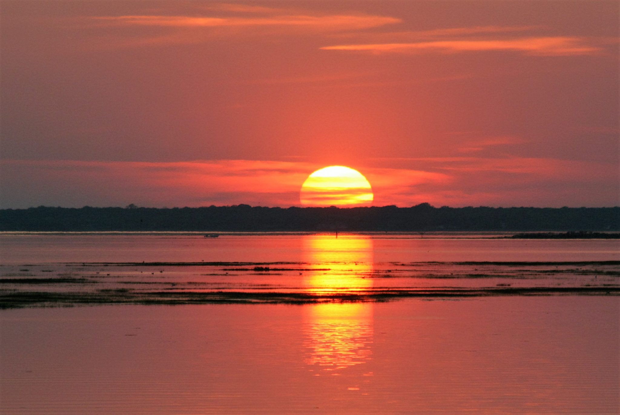 hot-summer-evening-sunset-jahart